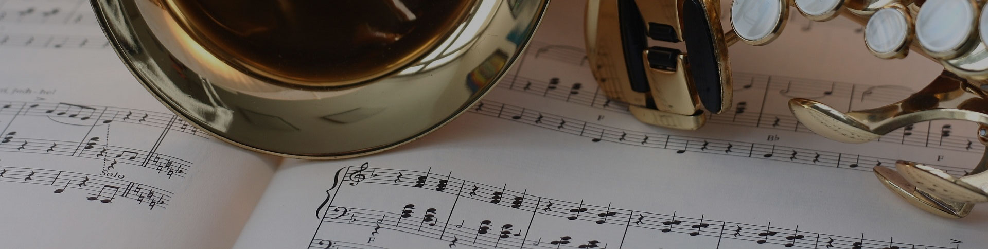 中國民族管弦樂學會-微信考試證書平臺|一網天行-網站建設小程序APP系統軟件開發(fā)公司