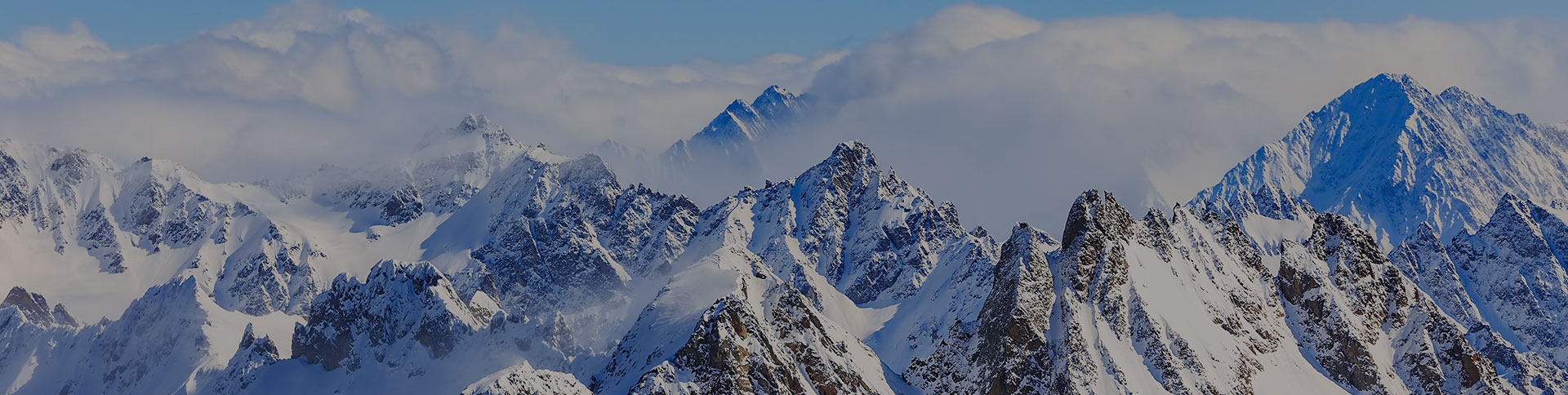 新毅控股企業(yè)宣傳網(wǎng)站|一網(wǎng)天行-網(wǎng)站建設(shè)小程序APP系統(tǒng)軟件開(kāi)發(fā)公司