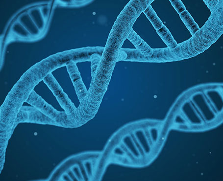 360基因官方網(wǎng)站|一網(wǎng)天行-網(wǎng)站建設(shè)小程序APP系統(tǒng)軟件開發(fā)公司