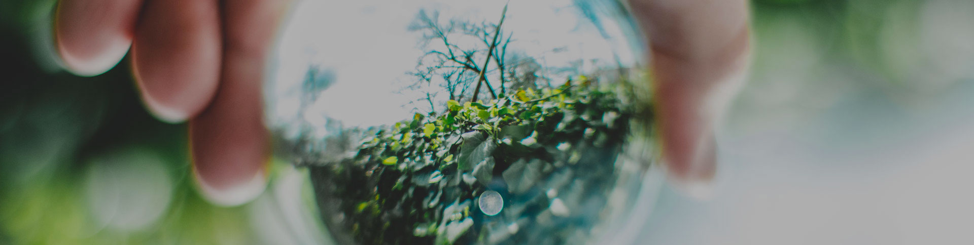 中關村節(jié)能環(huán)保專委會網站|一網天行-網站建設小程序APP系統(tǒng)軟件開發(fā)公司