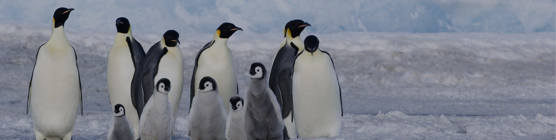 海信日立-微信工單報(bào)修服務(wù)號(hào)平臺(tái)|一網(wǎng)天行-網(wǎng)站建設(shè)小程序APP系統(tǒng)軟件開發(fā)公司