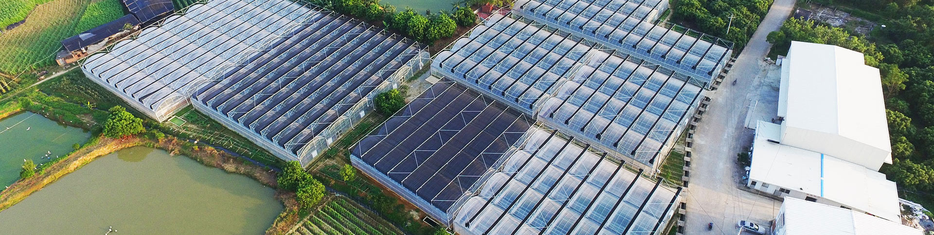 健康產業(yè)集團公司品牌宣傳網(wǎng)站|一網(wǎng)天行-網(wǎng)站建設小程序APP系統(tǒng)軟件開發(fā)公司